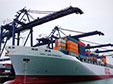 FCL Service & LCL Service